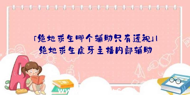 「绝地求生哪个辅助只有透视」|绝地求生虎牙主播内部辅助